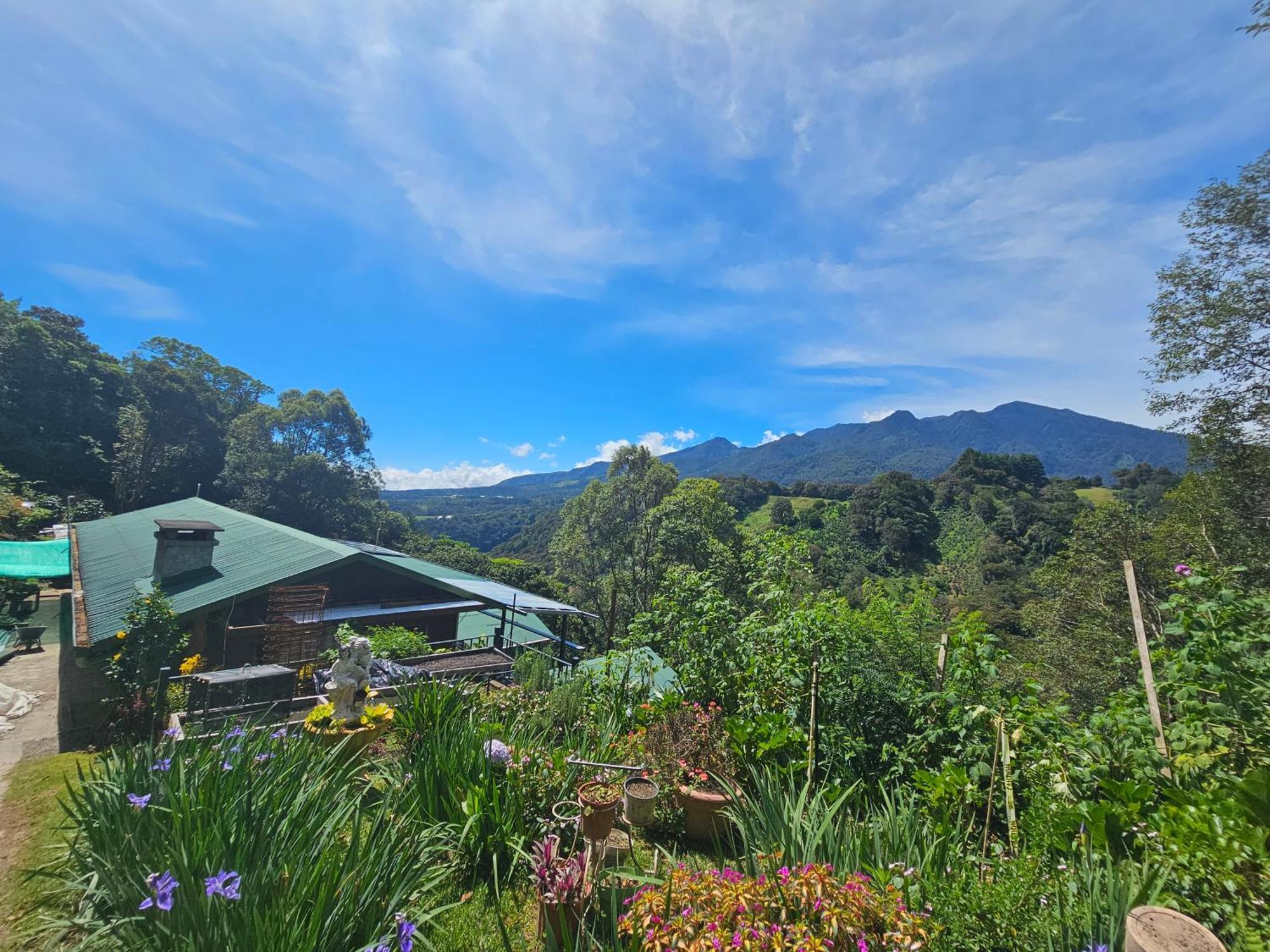 Eco Horqueta Bed & Breakfast